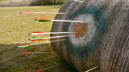 Archery Target Bullseye