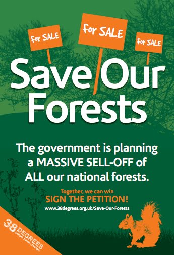 Save Our Forests - 38 Degrees Poster